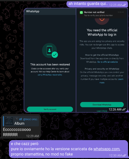 Chat ore dopo con schermate: "This account has been restored. Chats can be accessed after you verify your account. Visit our Help Center to learn about using WhatsApp responsibly.", e "You need the official WhatsApp to log in. The app you are using has privacy and security risks. You can no longer use this app to access your WhatsApp chats. How to get the official WhatsApp: Download from the app store or directly from WhatsApp. Go to official website. Privacy and security on WhatsApp: On the official WhatsApp you can control your privacy, message securely, and add another number if you have multiple accounts."