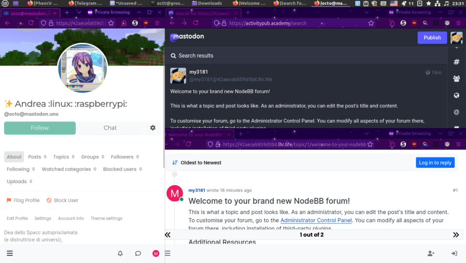 Schermata del forum temporaneo che visualizza il mio profilo Mastodon, e sia Mastodon che il forum che visualizzano un post del forum.