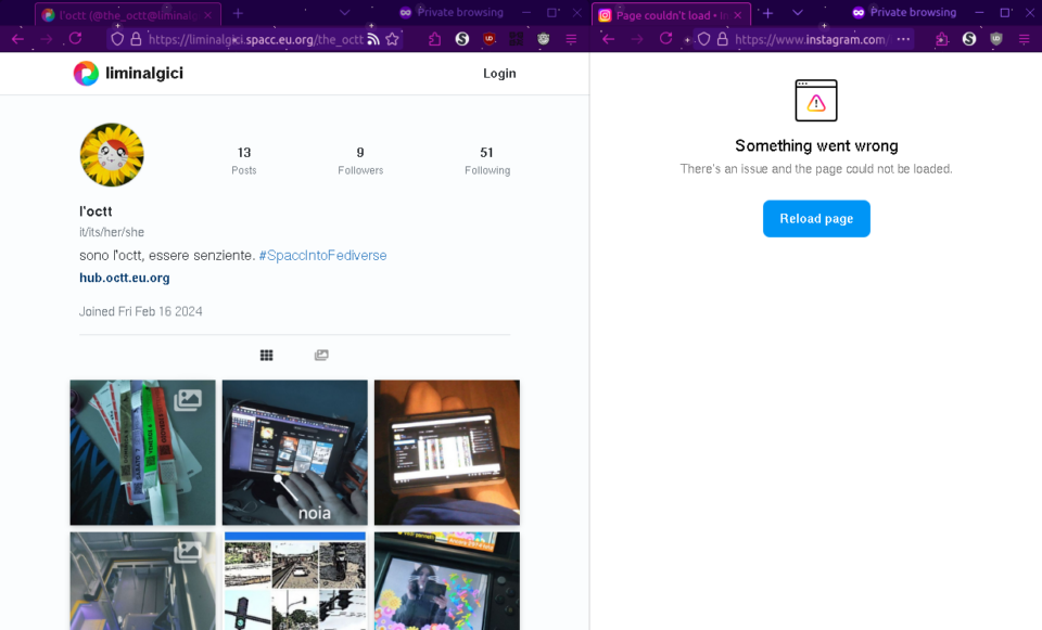 Profili su rispettivament Pixelfed ed Instagram aperti in scheda anonima; il primo si vede, il secondo fa "Something went wrong"