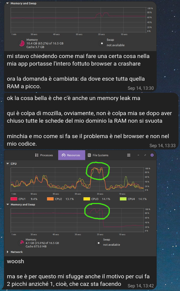 Schermata chat lamentele crash e uso RAM, con il grafico di uso RAM e CPU che mostra i picchi.