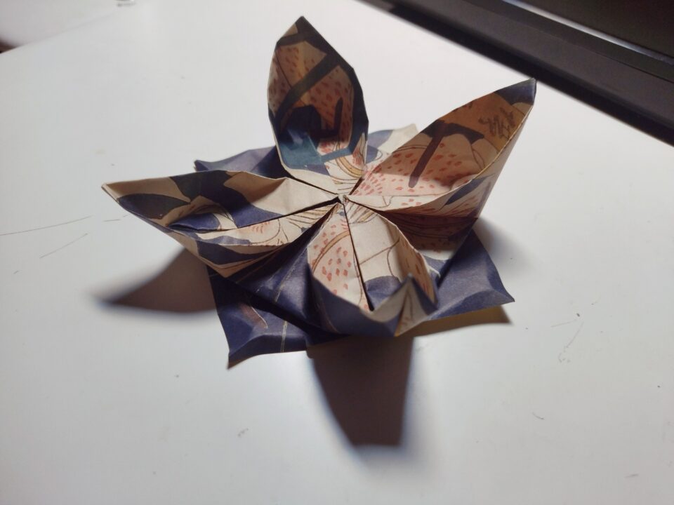 Origami di non ricordo esattamente cosa, un fiore strano, voglio evitare di dire panzane grazie