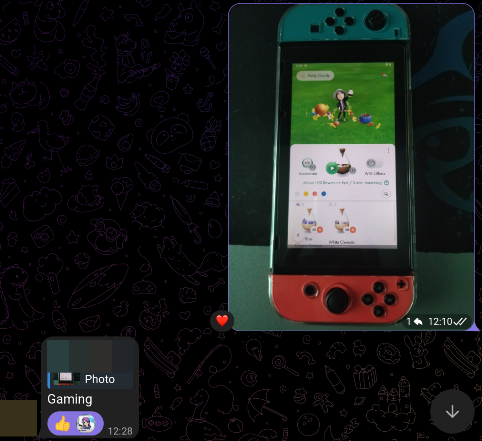 Messaggio in chat, foto della console coi Joycon attaccati eseguendo Pikmin Bloom, la risposta è stata "Gaming"