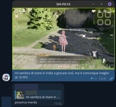 Messaggio screenshot, "mi sembra di stare in india a giocare così, ma è comunque meglio di 10 FPS", risposta "pooorca merda"