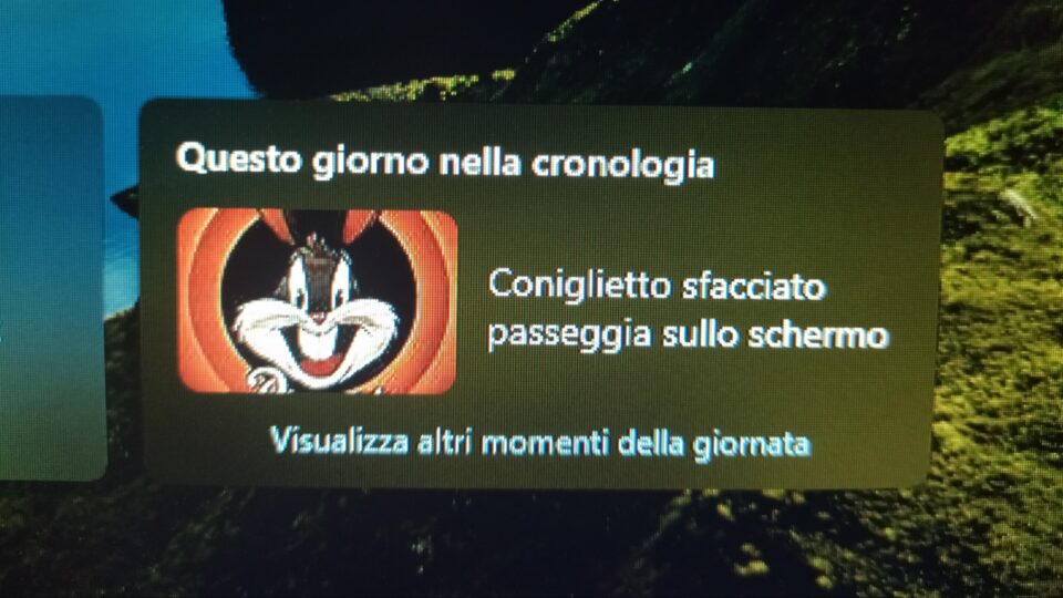 Questo giorno nella cronologia:
Coniglietto sfacciato passeggia sullo schermo