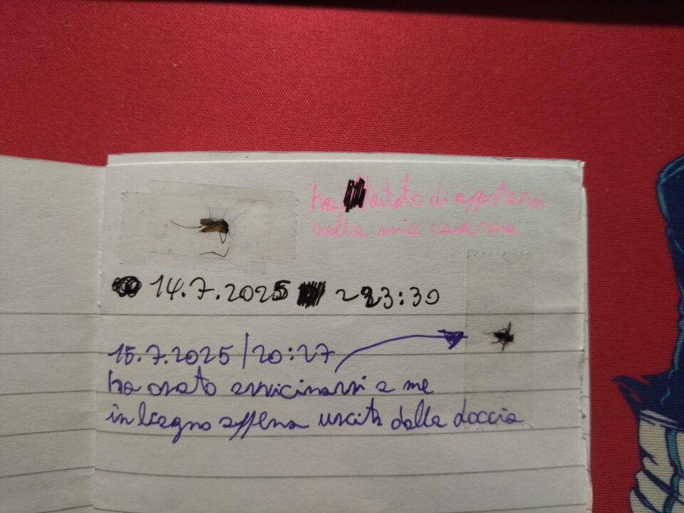 Prima pagina (interna) del quadernino:
* 14.7.2025|~23:30: ha tentato di appostarsi nella mia caverna
* 15.7.2025|20:27: ha osato avvicinarsi a me in bagno appena uscita dalla doccia