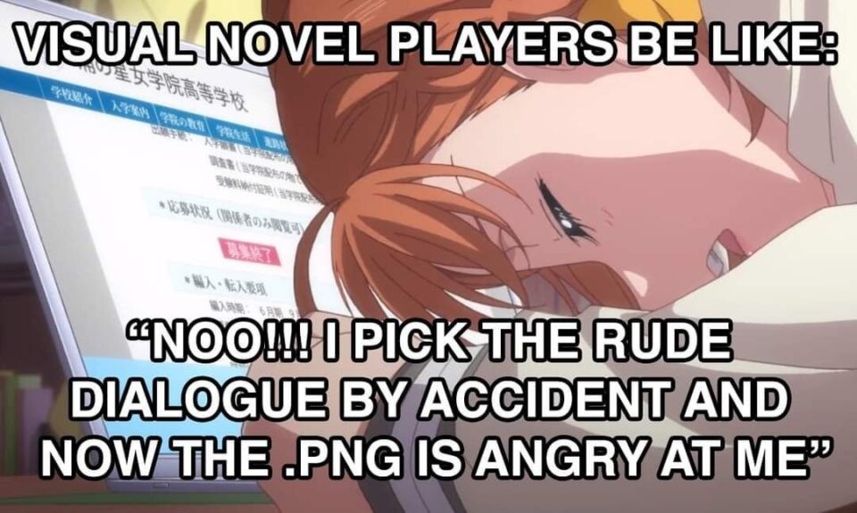 meme "visual novel players be like: noo!!! I pick the rude dialogue by accident and now the .png is angry at me"