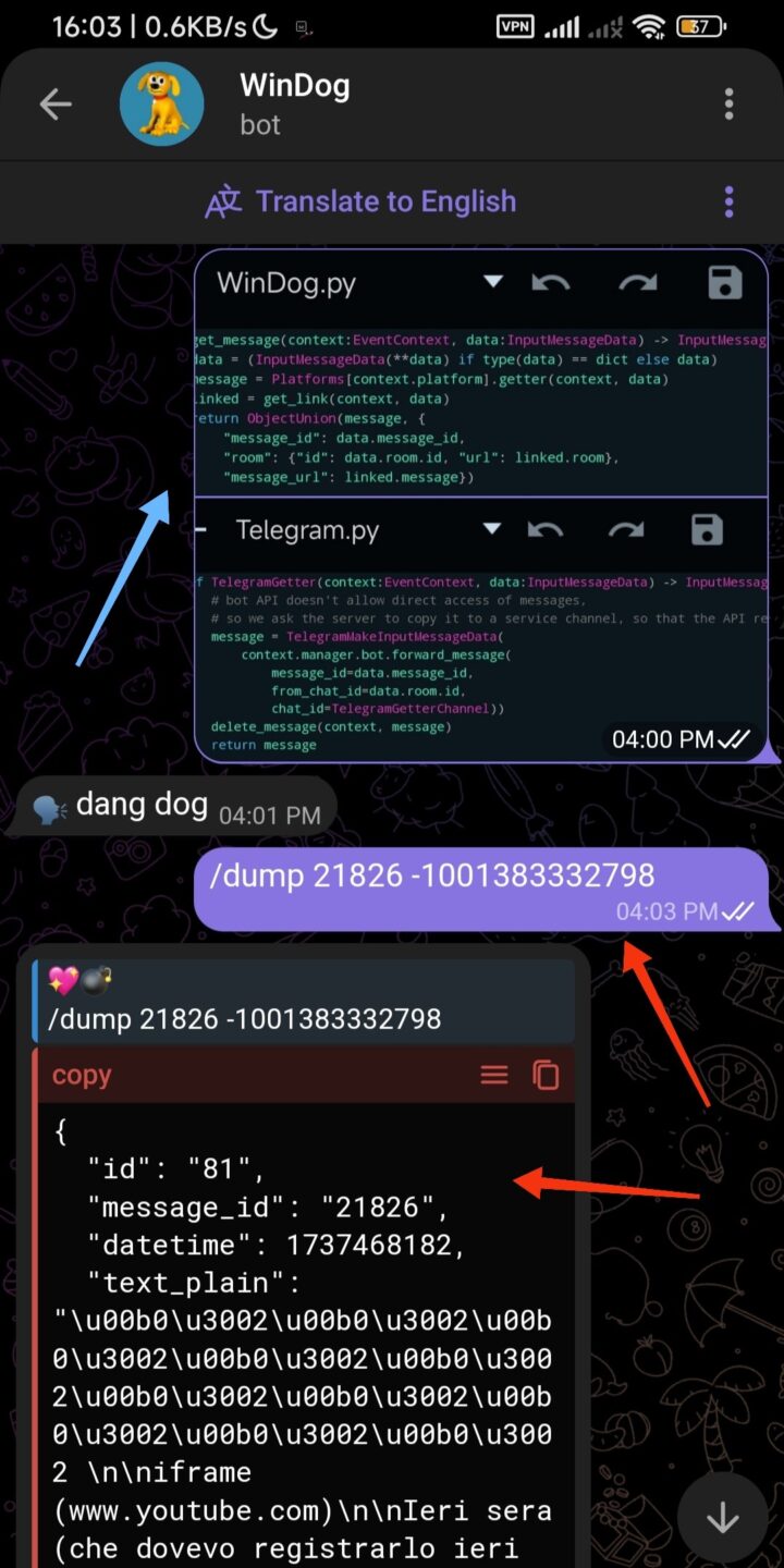 Schermata chat con WinDog, demo dell'uso del comando /dump aggiornato per leggere da un canale; si intravede il codice della API interna