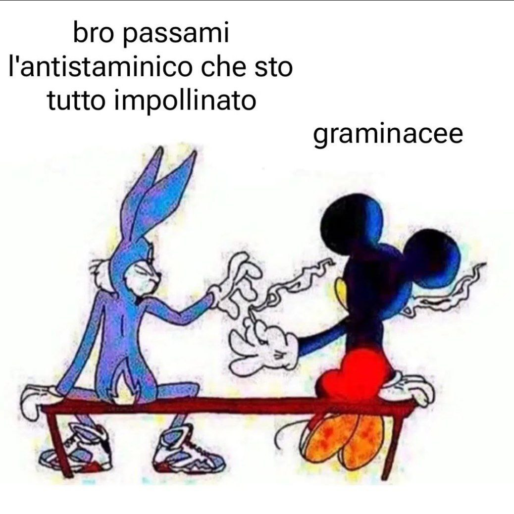 > bro passami l'antistaminico che sto tutto impollinato
>> graminacee