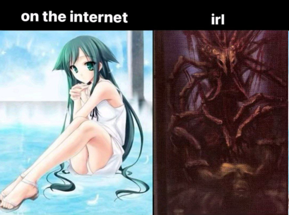 on the internet | irl