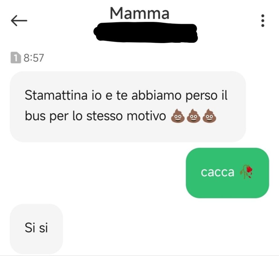 Mamma:
>> Stamattina io e te abbiamo perso il bus per lo stesso motivo 💩💩💩
> cacca 🥀
>> Si si