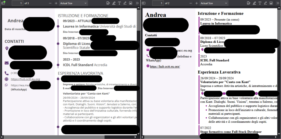 Le pagine iniziali dei due CV a confronto.