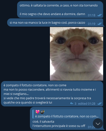 [06/05/2025 01:18]
ottimo, è saltata la corrente, a caso, e non sta tornando
il mio segno che devo andare a dormire, damn

[06/05/2025 01:19]
si ma non va manco la luce in bagno così, porco cazzo

💖💣, [06/05/2025 01:28]
è zompato il fottuto contatore, non so come
ma non lo posso riaccendere, altrimenti si riavvia tutto insieme e i miei si svegliano...
si vede che mio padre troverà necessariamente la sorpresa tra qualche ora quando si sveglierà lui

💖💣, [06/05/2025 01:29]
cioè, il salvavita
l'interruttore principale è sceso su off