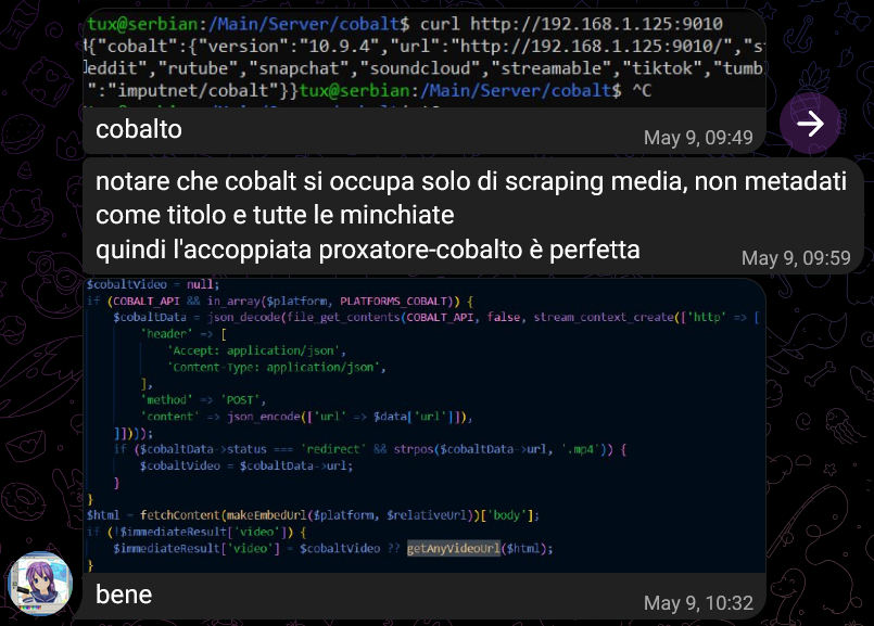 💖💣, [09/05/2025 09:49]
cobalto

💖💣, [09/05/2025 09:59]
notare che cobalt si occupa solo di scraping media, non metadati come titolo e tutte le minchiate
quindi l'accoppiata proxatore-cobalto è perfetta

💖💣, [09/05/2025 10:32]
bene